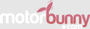 Motorbunny
