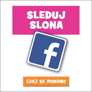 Sleduj Slona