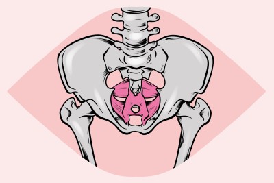 Vaginismus, bolest při sexu, stažené pánevní dno