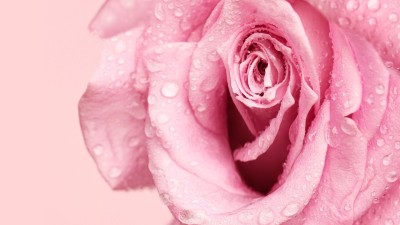 squirting, ženská ejakulace, mokrý orgasmus