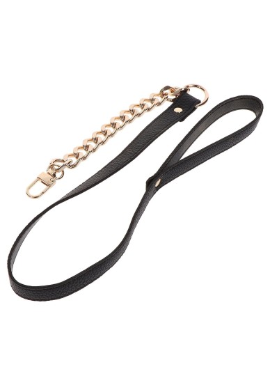 Ohlávka Statement Leash