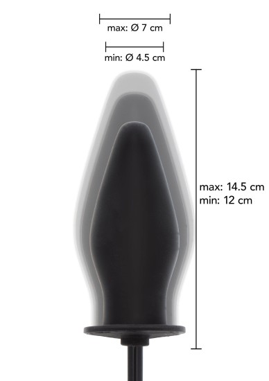 Hidden Desire Inflatable Butt Plug Advanced