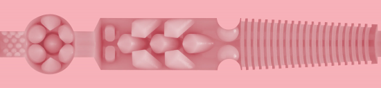Fleshlight vagina Clasic Pink Lady Destroya (25 cm)