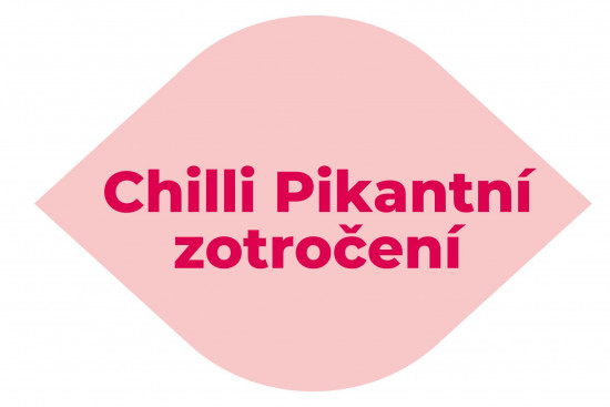 Chilli Pikantní zotročení – erotická stolní hra