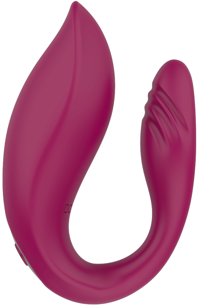 Párový vibrátor Viva s dálkovým ovládáním