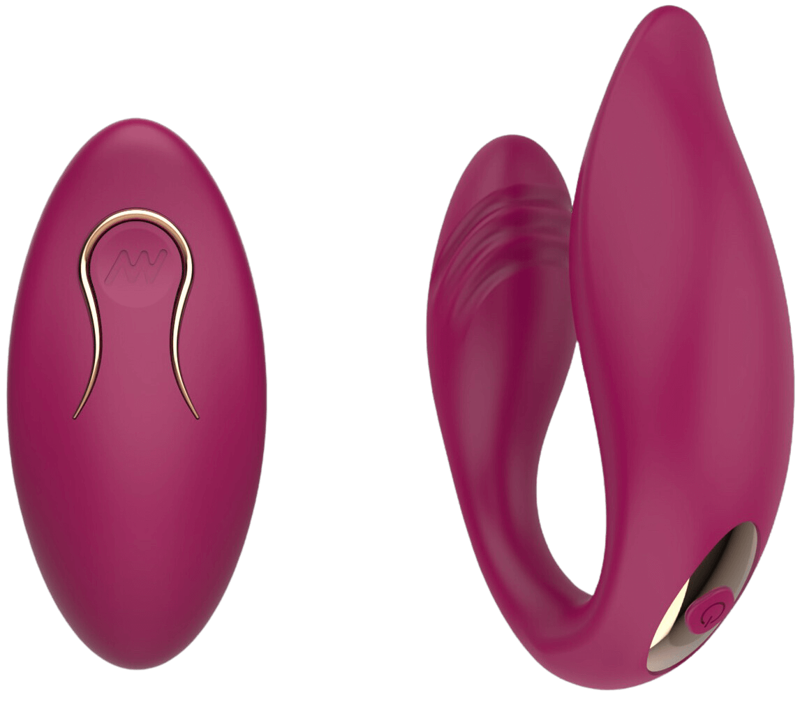 Párový vibrátor Viva s dálkovým ovládáním