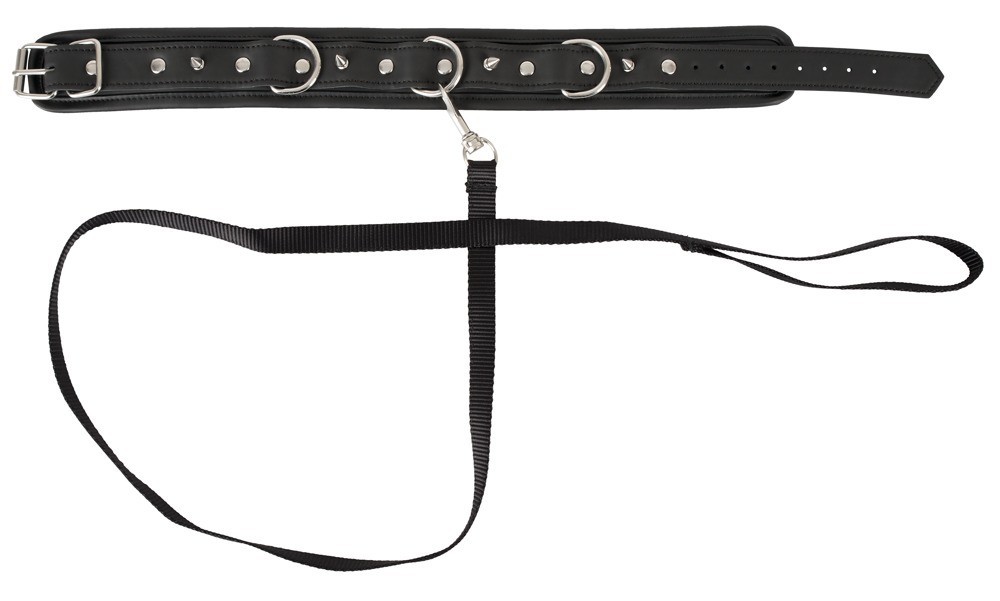 Obojek s vodítkem vegan