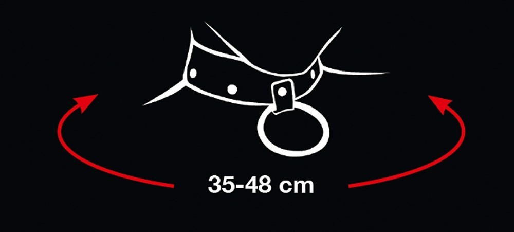 Obojek s vodítkem Bad Kitty