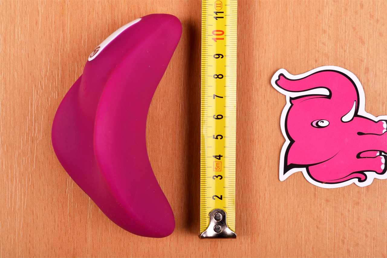 Small purple Dragonfly – měříme délku