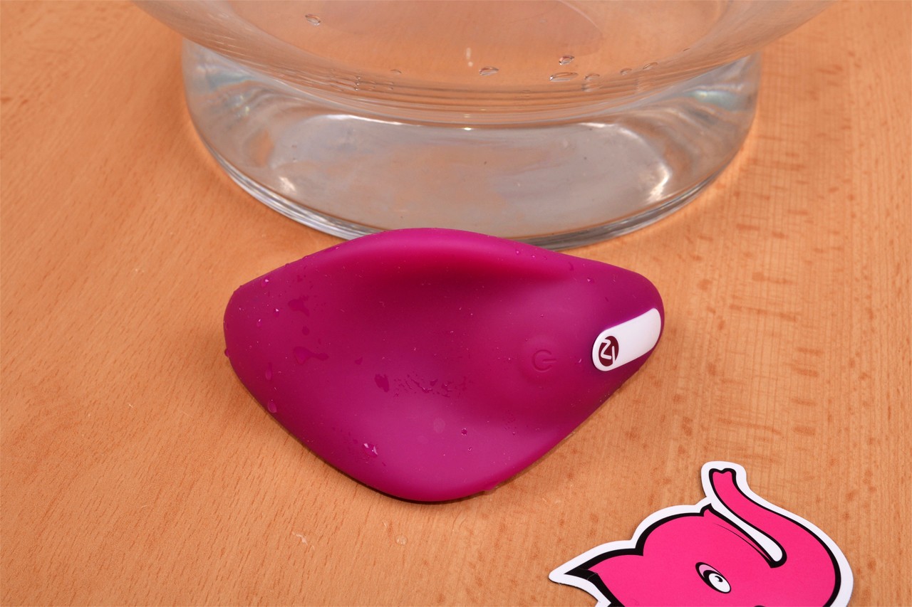 Small purple Dragonfly – vedle skleněné nádoby