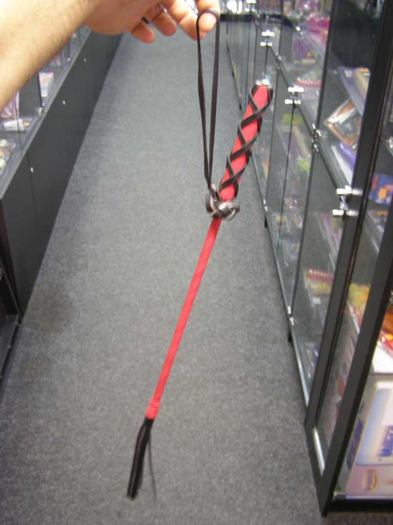 Bičík zdobený, kůže