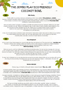 ECO friendly kokosová miska – JUMBO PLAY