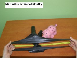 Latexové kalhotky se 2 penisy