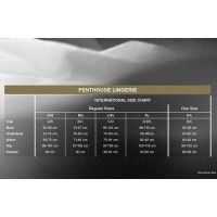 Penthouse Passion goddess erotické mini šaty black S-L