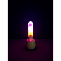 Paradise Pleasure - Illumination The Bullet