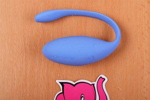 We-Vibe Jive