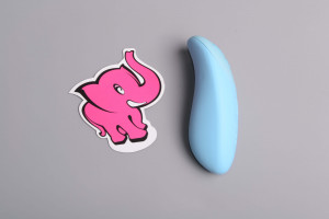 We-Vibe Chorus párový vibrátor, ovladač
