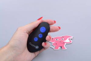 Anální kolík pro elektrosex Load of Pleasure s erekčním kroužkem a dálkovým ovládáním, ovladač