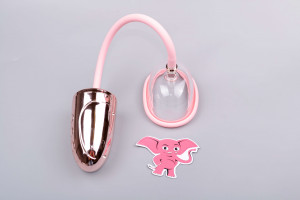 Automatická hlavice k vakuovým pumpám Rose Gold