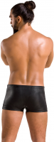 Passion boxerky David