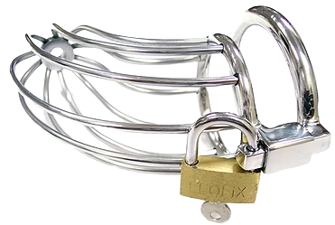 ROUGE Stainless Steel Chasity Cock Cage s padlockem